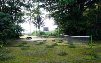 outdoor badminton court