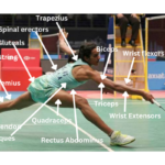 Strength Training in Badminton